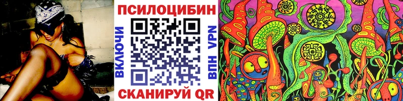 Псилоцибиновые грибы Psilocybe  Вихоревка 